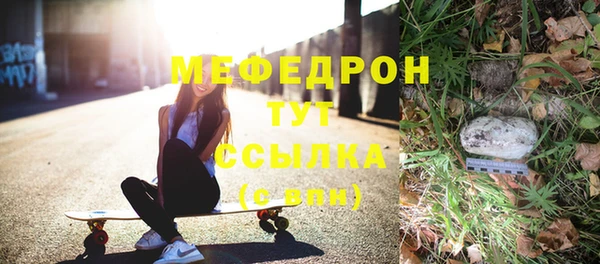 индика Медногорск