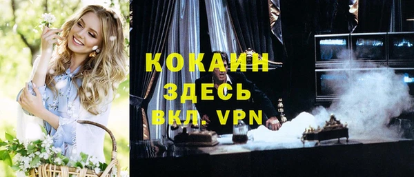 дурь Алексин