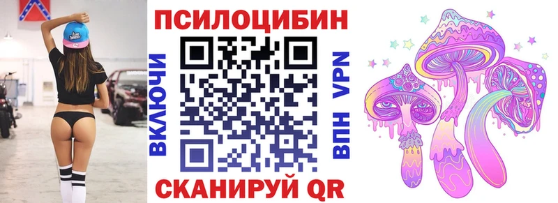 МЕГА вход  Любим  Галлюциногенные грибы Psilocybe 